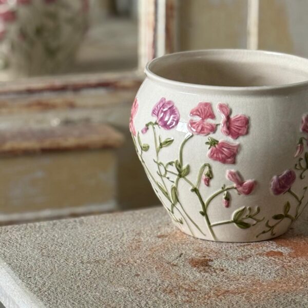 Kruka Pois de senteur