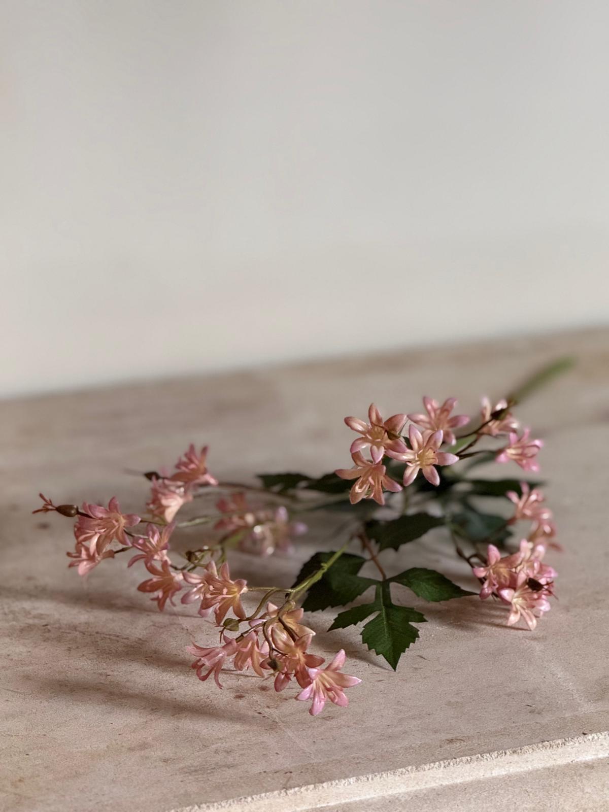 Blossom