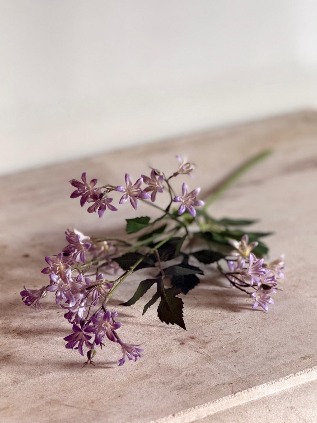 Blossom lila
