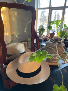 Klassisk naturfärgad Panamahatt med svart hattband (L)